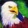 American Eagle Series III