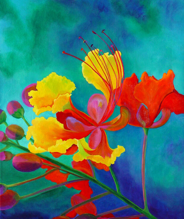 Ave del Paraiso (Bird of Paradise)